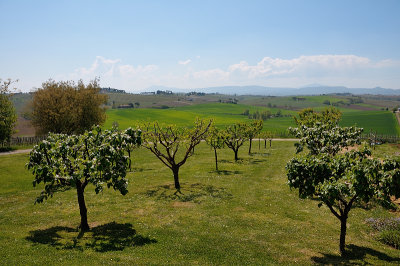 DSC_0384.JPG
