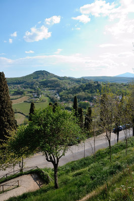 DSC_0422.JPG