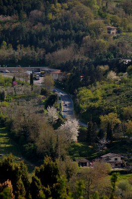 DSC_0426.JPG