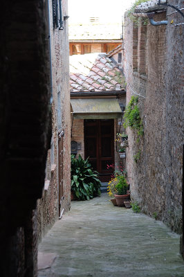 DSC_0433.JPG
