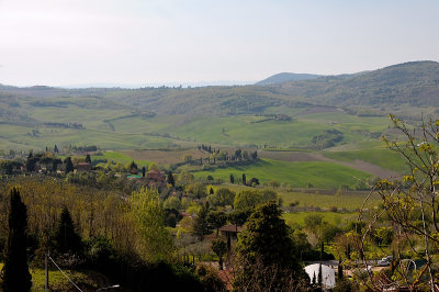 DSC_0455.JPG