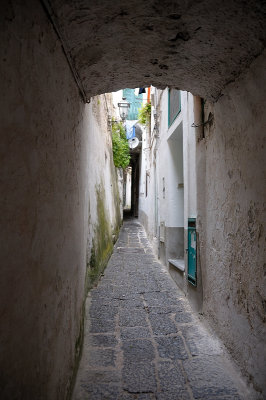 DSC_9217.JPG
