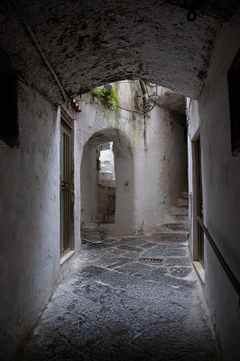 DSC_9221.JPG
