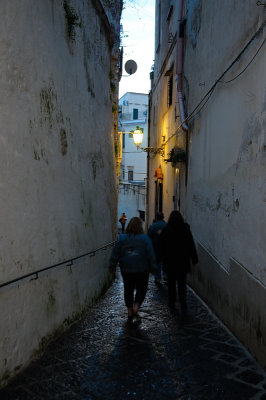 DSC_9238.JPG