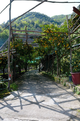 DSC_9370.JPG