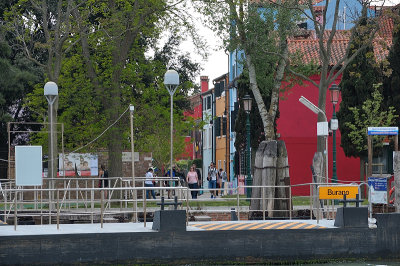 DSC_0824.JPG