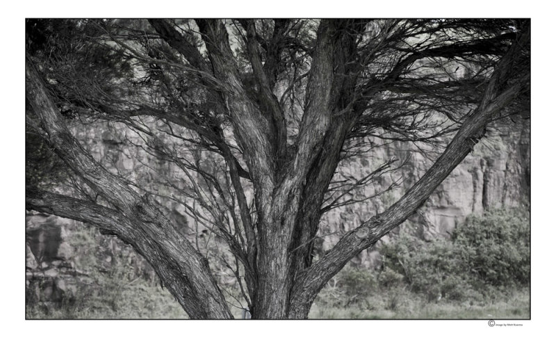 DSCF8888-Edit.jpg