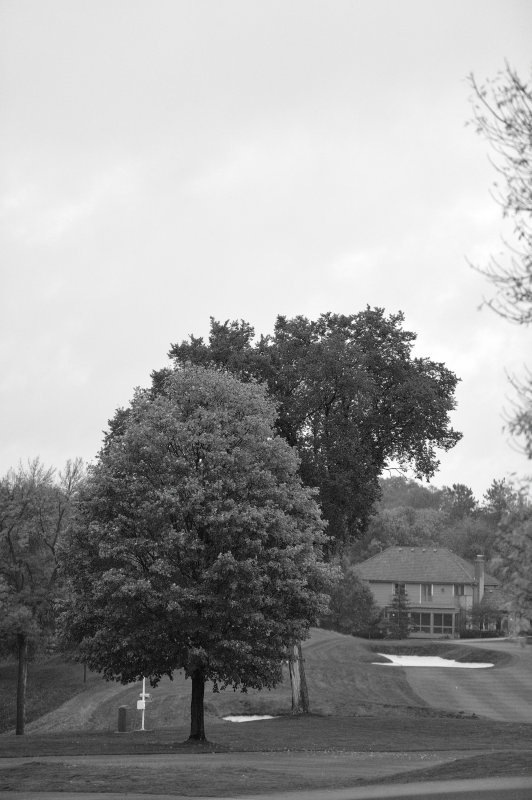 2017-10-06 083 Nancy and Jay_BW.JPG