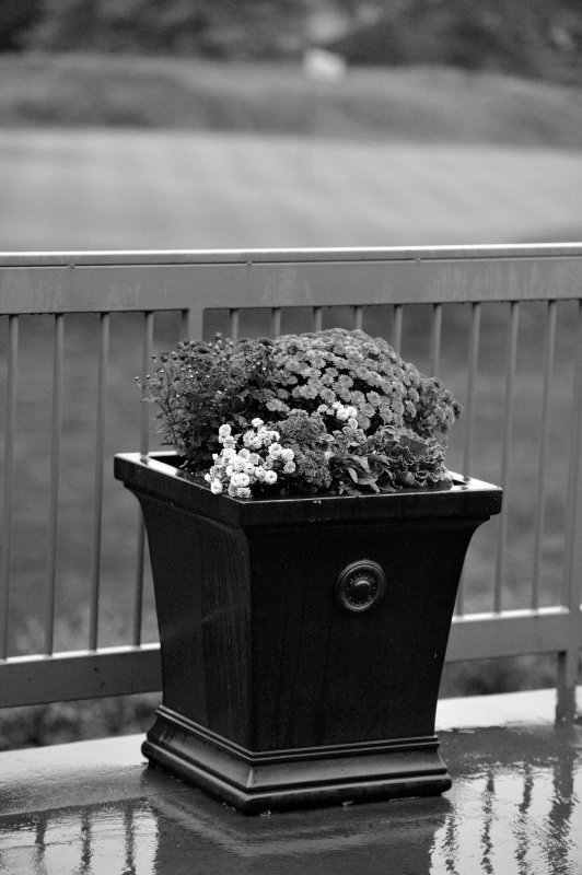 2017-10-06 084 Nancy and Jay_BW.JPG