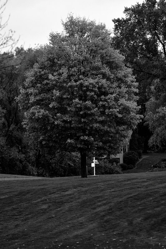 2017-10-06 152 Nancy and Jay_BW.JPG