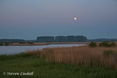 Minsmere