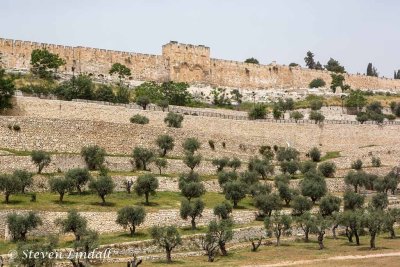 Mount of Olives and Kidron Valley