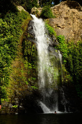 CassowaryFalls3693r.jpg