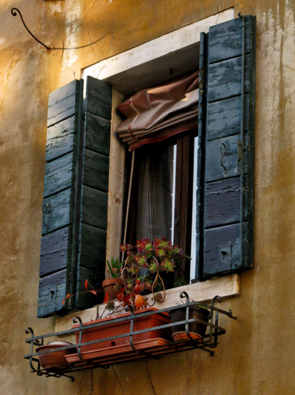 Winter Windowbox8938