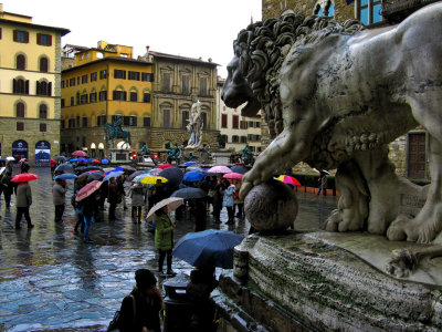Under the Lions Gaze<br />7922