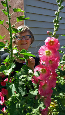 Hollyhocks and Their Gardener<br />154745