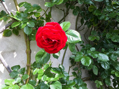 g10/92/771592/3/168464714.A91QaZLq.jpg