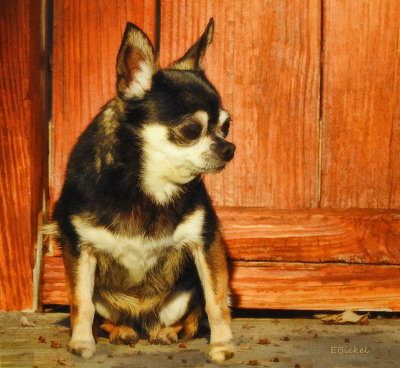 Just Sitting