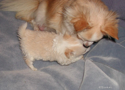 Mommy with Lucy 2001