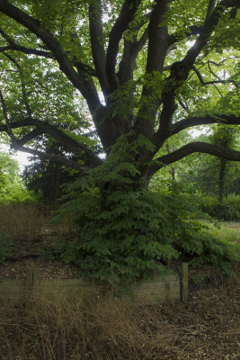 great_linford