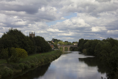 36233_Hereford.jpg