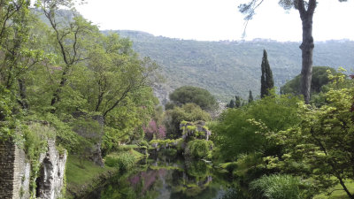 Ninfa best view.jpg