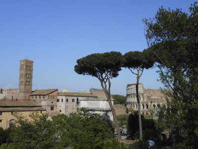 View of colosseum.JPG