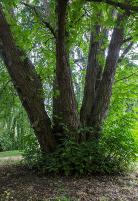 40103_Woburn.jpg