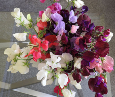 A bunch of sweet peas.