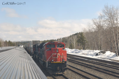 _GLM.p8214.jpg
