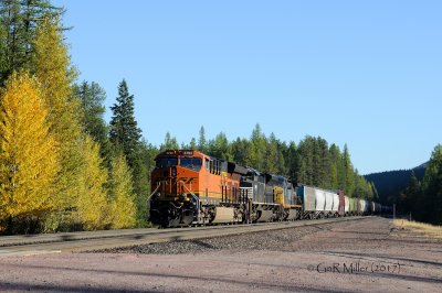 BNSF Hi Line