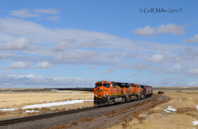 GM3P_4103.jpg