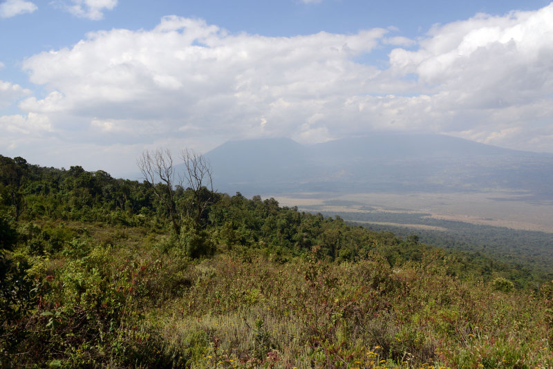The volcanos Mikeno and Karisimbi on the Rwanda-DRC border