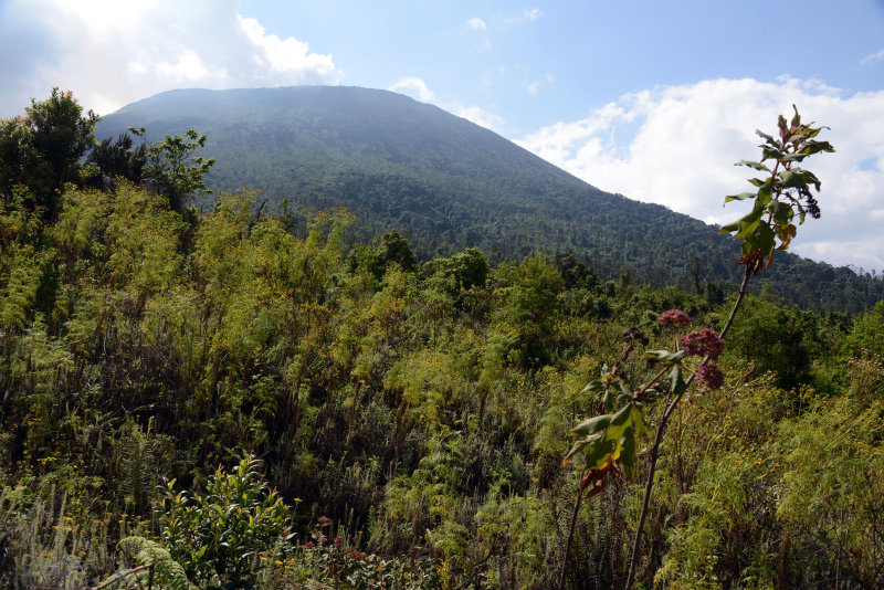 At the beginning of the long 4th stage, the summit of Nyiragongo comes into view