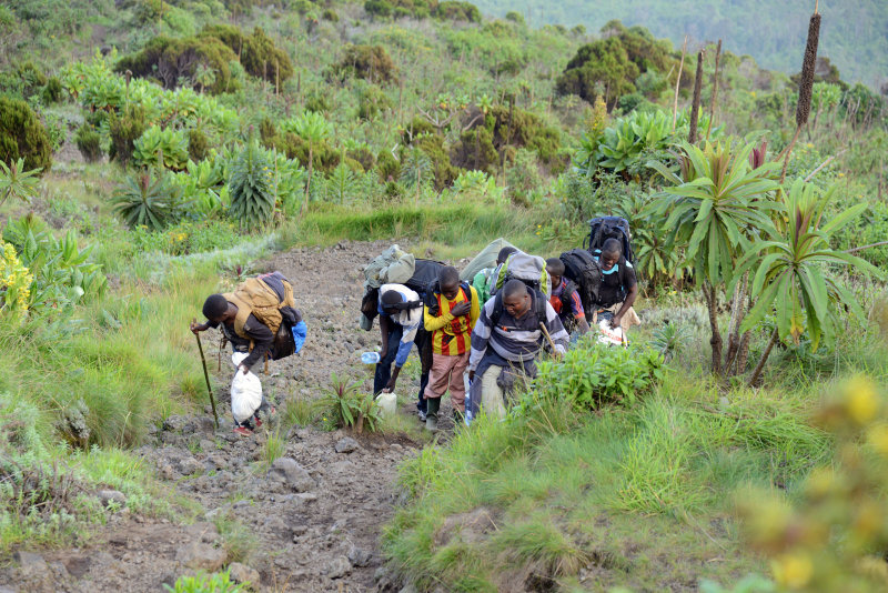 Our 7 porters, Mount Nyiragongo