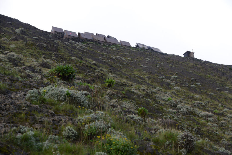 Our destination, a dozen small cabins on the rim of Nyiragongo at 11,250 ft