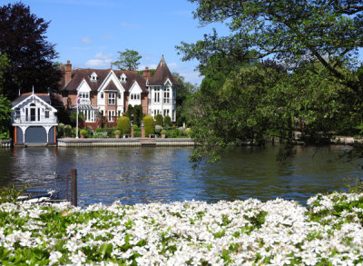 Lovely houses along the Thames, Maidenhead