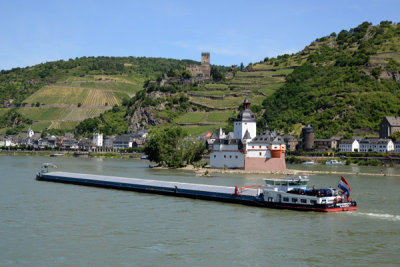 g10/93/329493/3/167674521.vE6PVhnl.jpg
