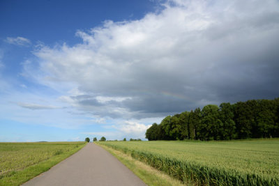 g10/93/329493/3/167732484.bvFmLHQg.jpg