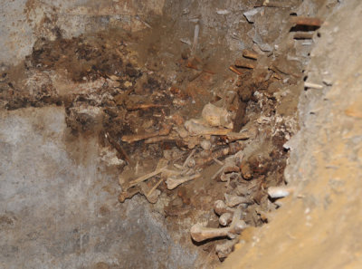 g10/93/329493/3/167994265.RtI5tS3q.jpg