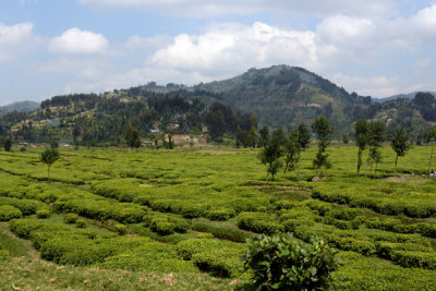 Rwanda Jun17 088.jpg