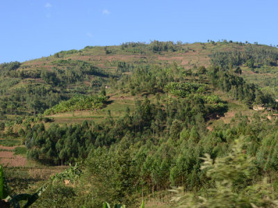 Rwanda Jun17 039.jpg