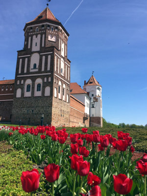 Red tulips outside Mir Castle