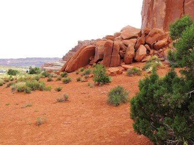 Fallen Rock