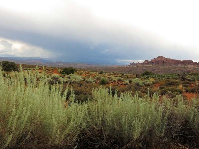 Storm Clouds