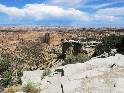 Salt Wash View