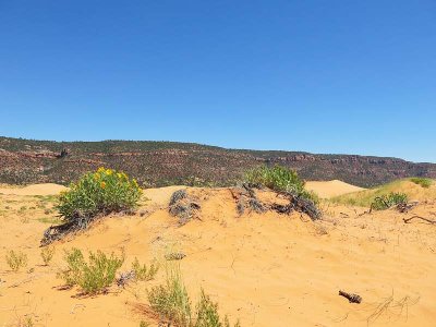 Dune Ridge, Rock Ridge