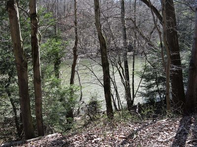 Trailside View