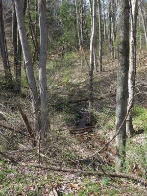 A Minor Tributary