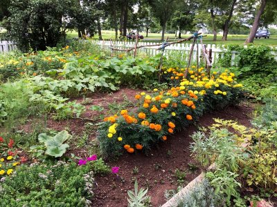 2017: Garden in Summer